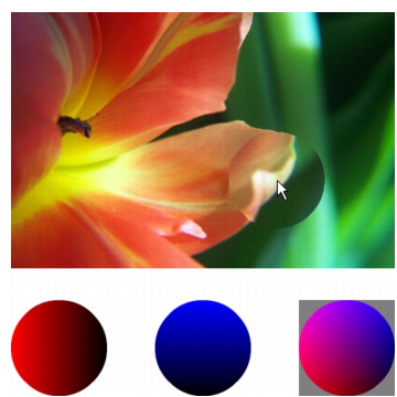 Screenshot of a Flash application. On top is a photo of a flower; under the user's cursor a circle shaped section of the flower is magnified. Beneath the photo are depictions of the three  color gradient circles used to form the displacement map image.