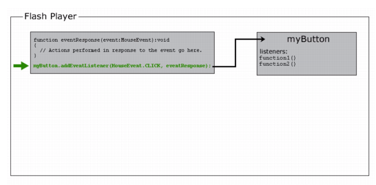 A representation of Flash Player calling the addEventListener() method of the object myButton, subscribing eventResponse() as a listener.