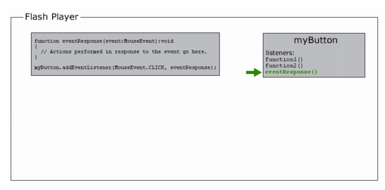 A representation of Flash Player storing eventResponse() in myButton's internal list of listeners