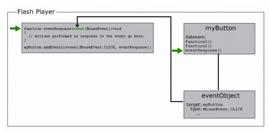 A representation of Flash Player (specifically, myButton) calling the function eventResponse(), passing a reference to eventObject as a parameter